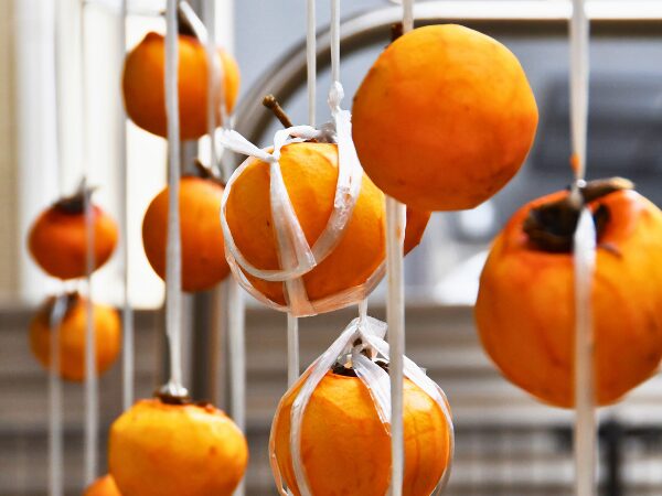 ロイヤルレジデンス上尾