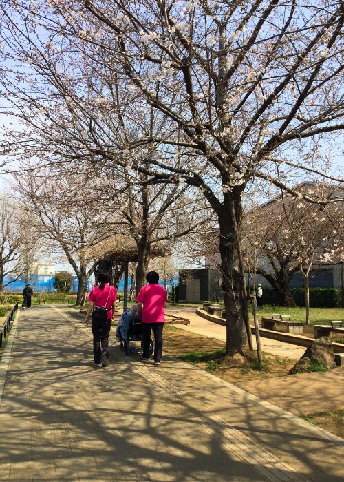 ロイヤルレジデンス新座